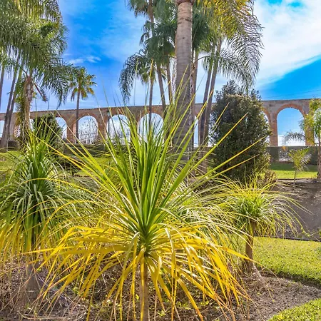 Palmas 4b Oasis